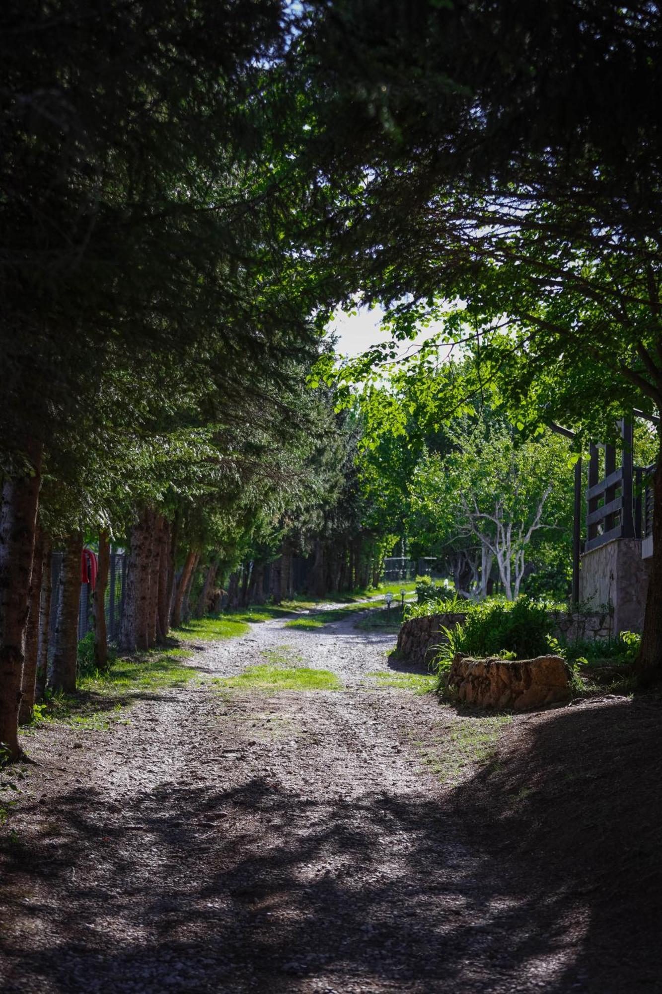Apartman Babic Bihać Exterior foto